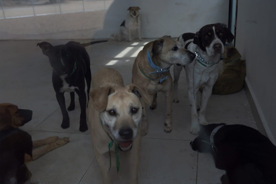 Asume el Gobierno de la Ciudad de México un reto para el que no estaba preparado con el Refugio Franciscano: Movimiento Ciudadano