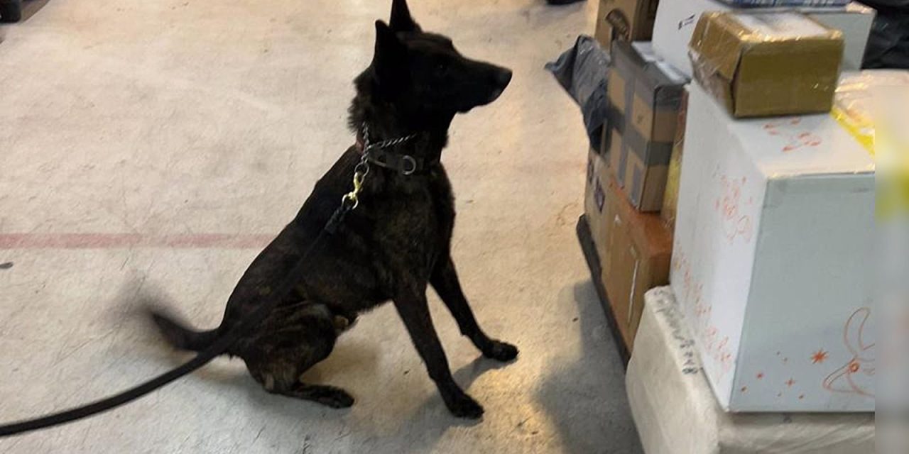 EN EL AICM, AUTORIDADES FEDERALES ASEGURAN UN PAQUETE CON FENTANILO ENVIADO DESDE UN PAÍS ASIÁTICO