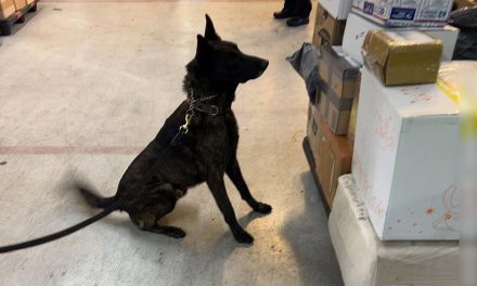 EN EL AICM, AUTORIDADES FEDERALES ASEGURAN UN PAQUETE CON FENTANILO ENVIADO DESDE UN PAÍS ASIÁTICO