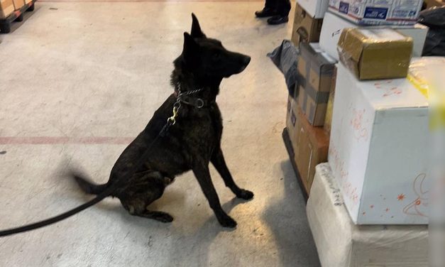 EN EL AICM, AUTORIDADES FEDERALES ASEGURAN UN PAQUETE CON FENTANILO ENVIADO DESDE UN PAÍS ASIÁTICO